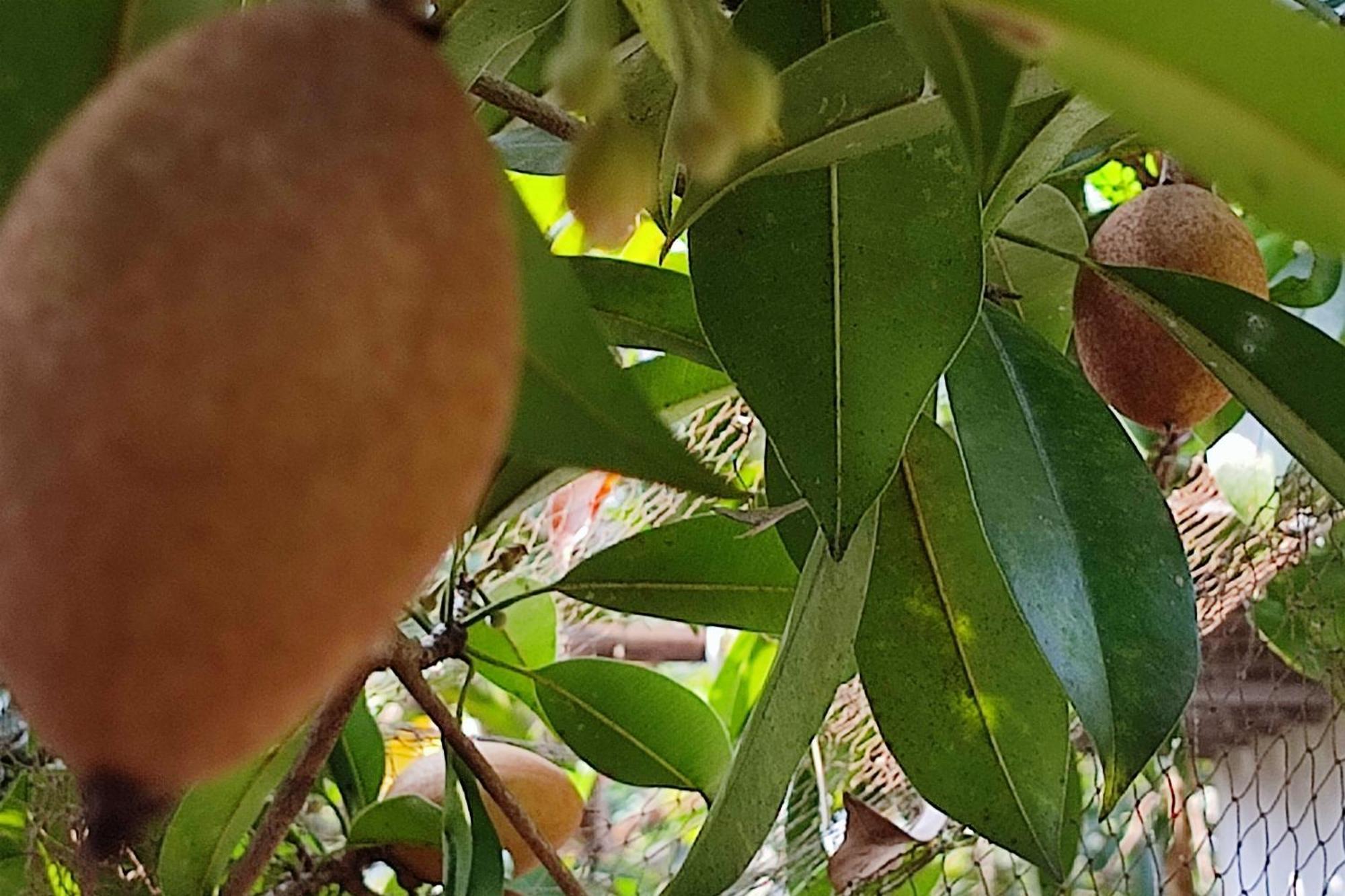 Vivaresidence Homestay Alappuzha Buitenkant foto