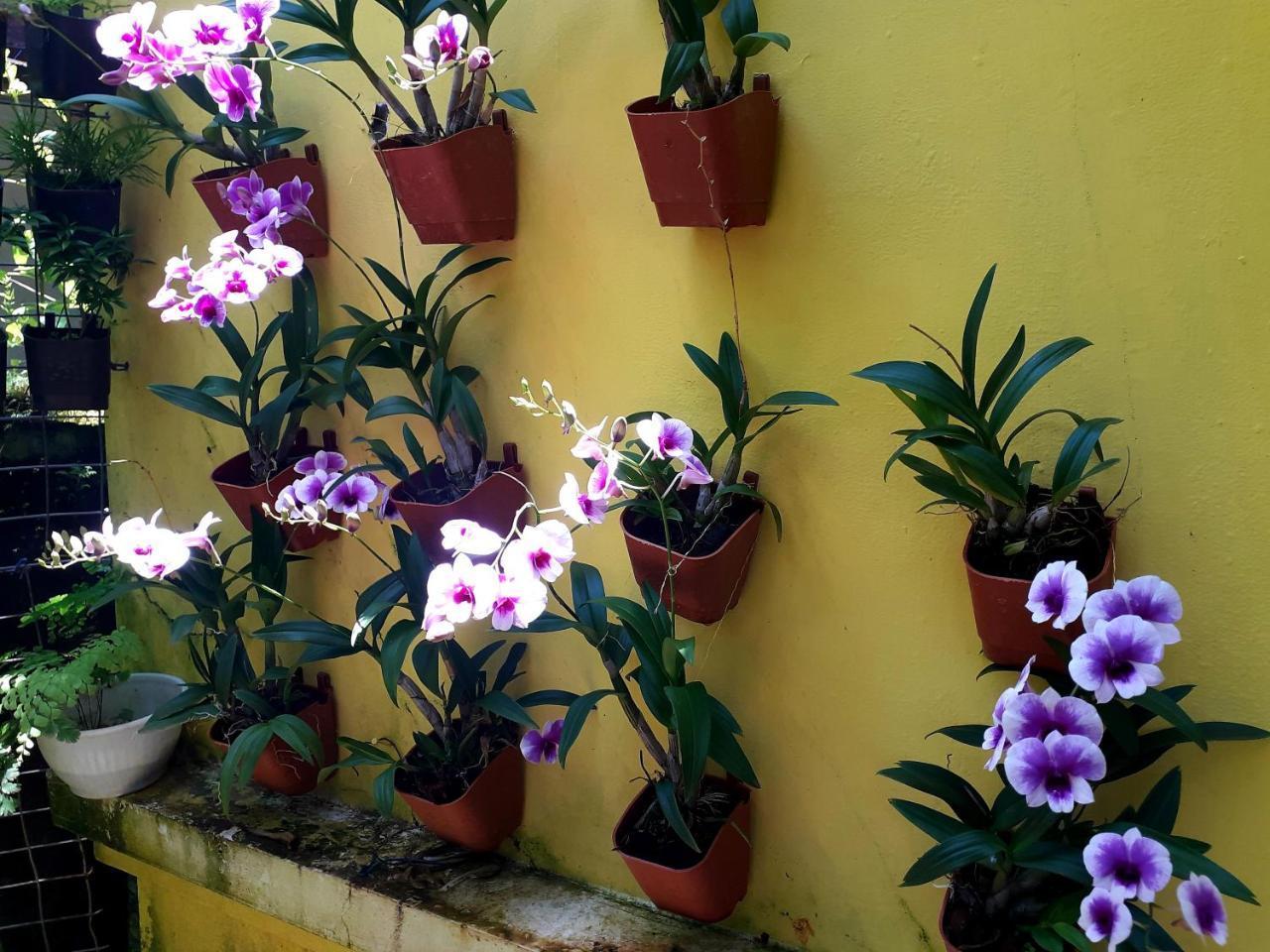 Vivaresidence Homestay Alappuzha Buitenkant foto